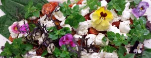 Mozarella/ Tomate/ Wildkräuter/ Mini-Basilikum/ Platte- Buffet